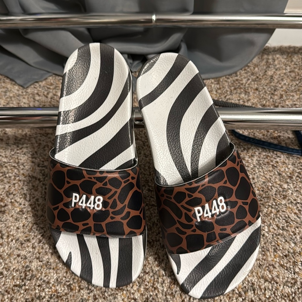 P448 slides